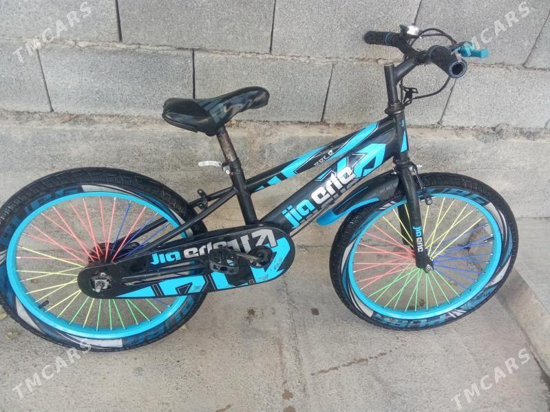 TİGİR - Ak bugdaý etraby - img 2