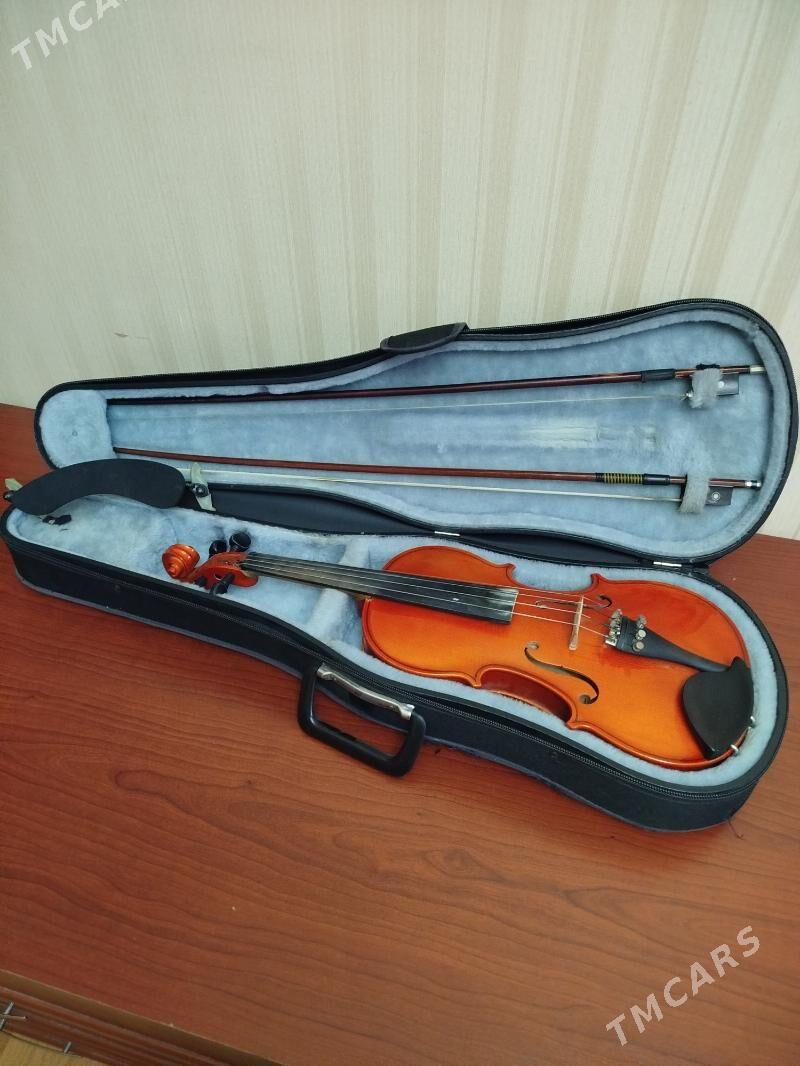 скрипка - Ашхабад - img 3