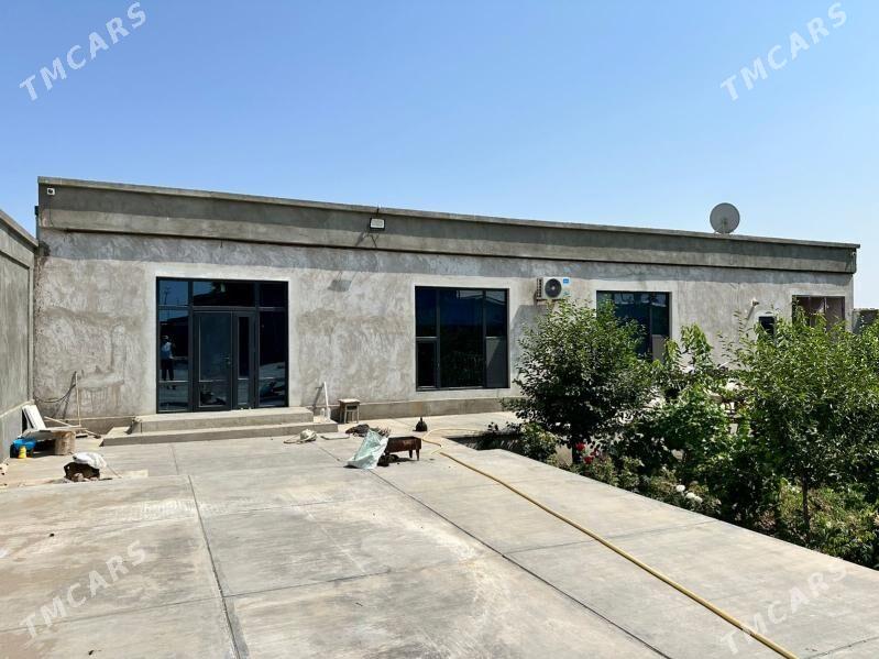 Киров Рухыет кошки 16сот 5ком - Daşoguz - img 10