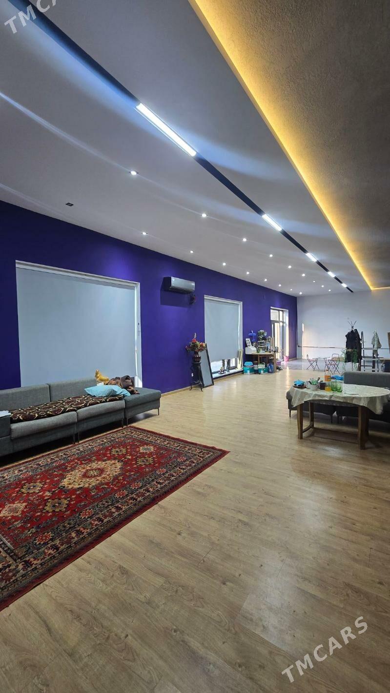 Киров Рухыет кошки 16сот 5ком - Daşoguz - img 8