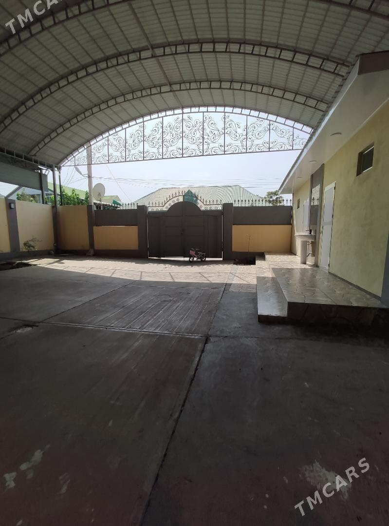 Satlyk , obmen Çoganly - Çoganly - img 10