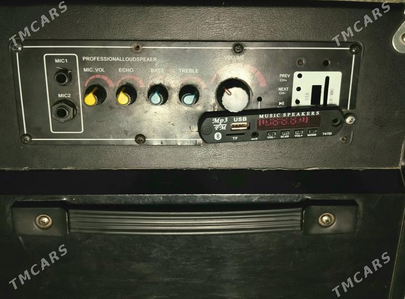 10-lyk Pazwuçka 2(Kalonka) - Бузмеин ГРЭС - img 4