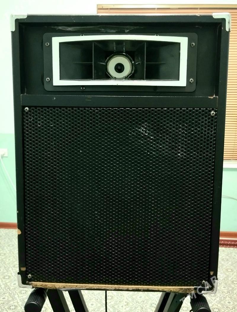 10-lyk Pazwuçka 2(Kalonka) - Бузмеин ГРЭС - img 3