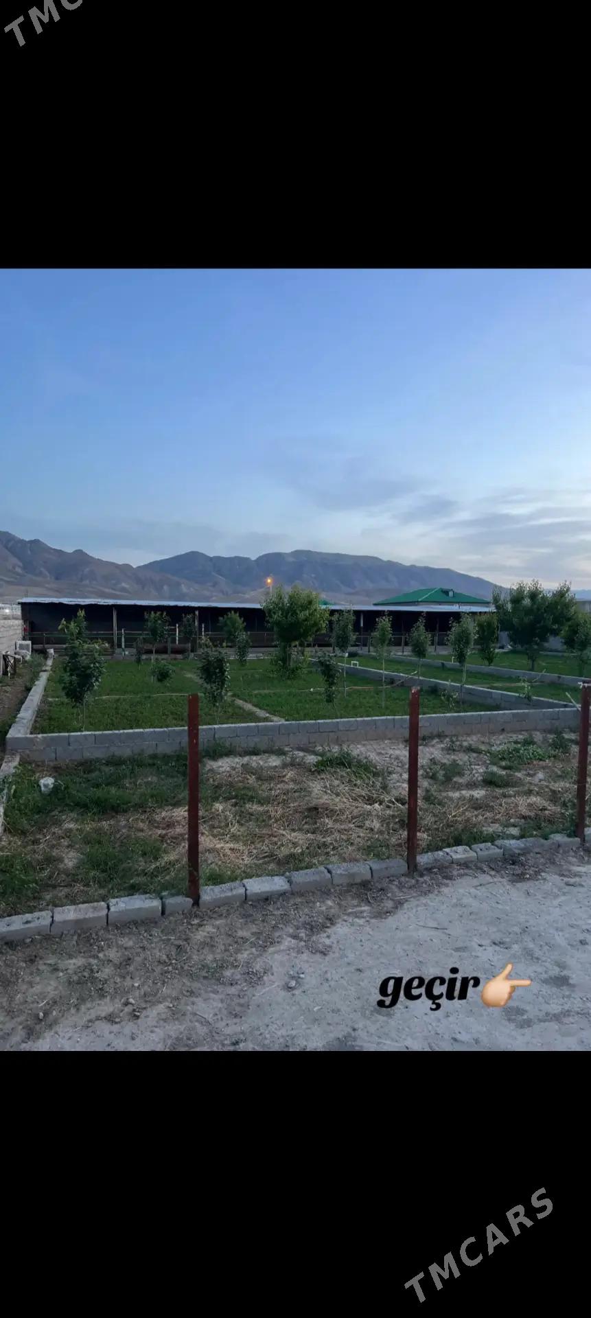 Satlyk jaý 4 komnat - Ak bugdaý etraby - img 3