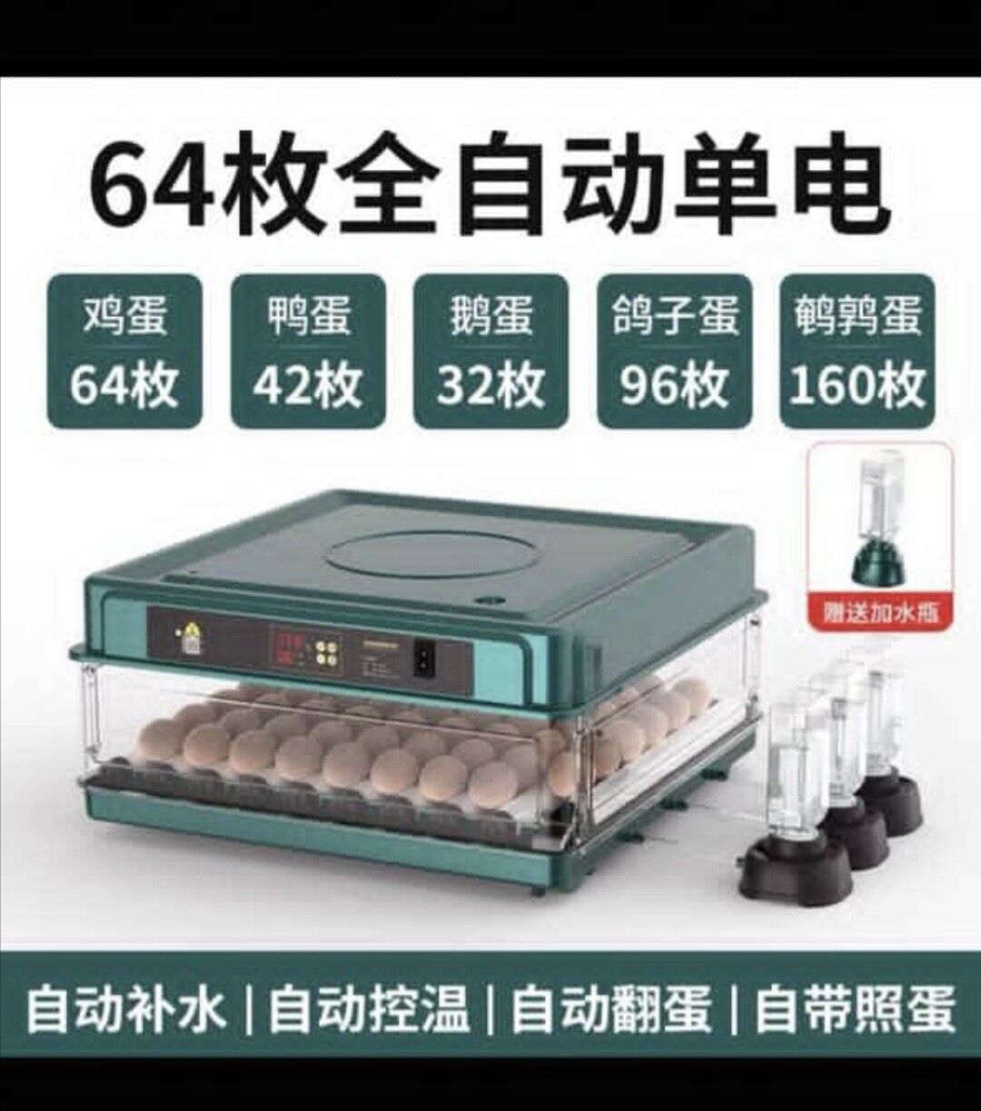 Inkubator - Ашхабад - img 11