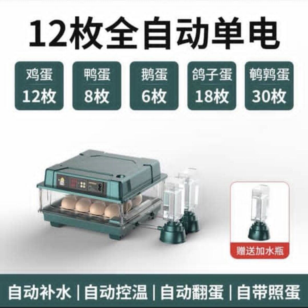 Inkubator - Ашхабад - img 8