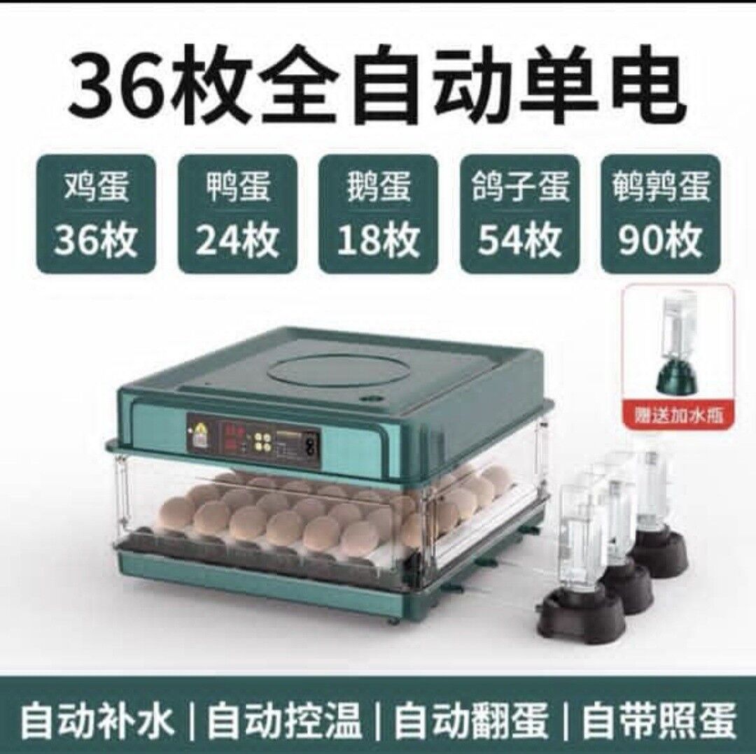 Inkubator - Ашхабад - img 6