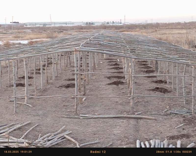 parnik teplis - Сакарчага - img 3