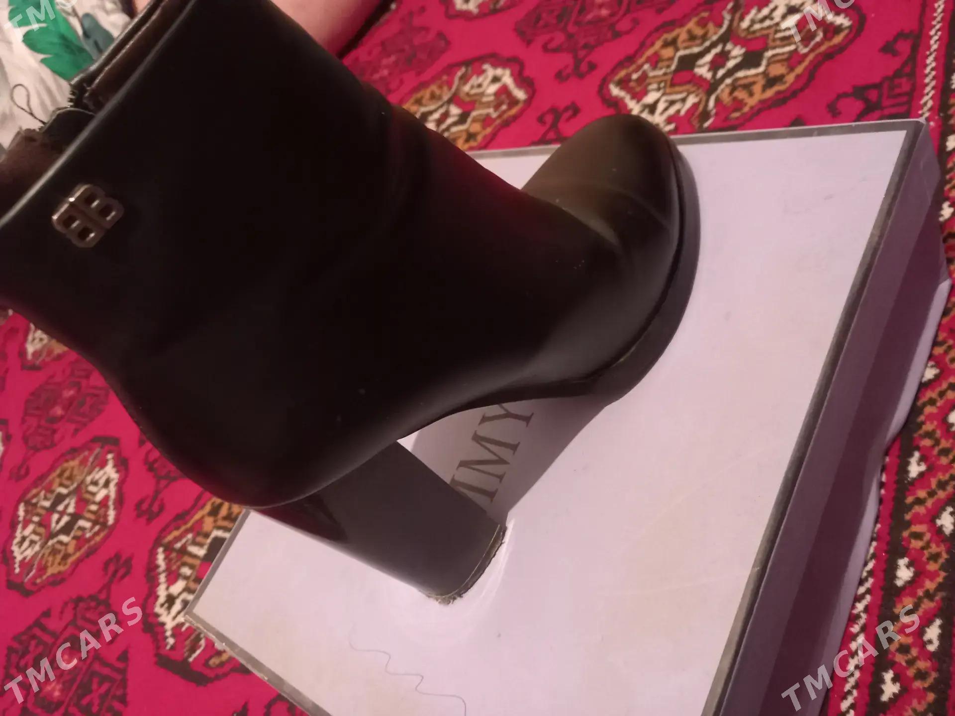 ädik - Daşoguz - img 2