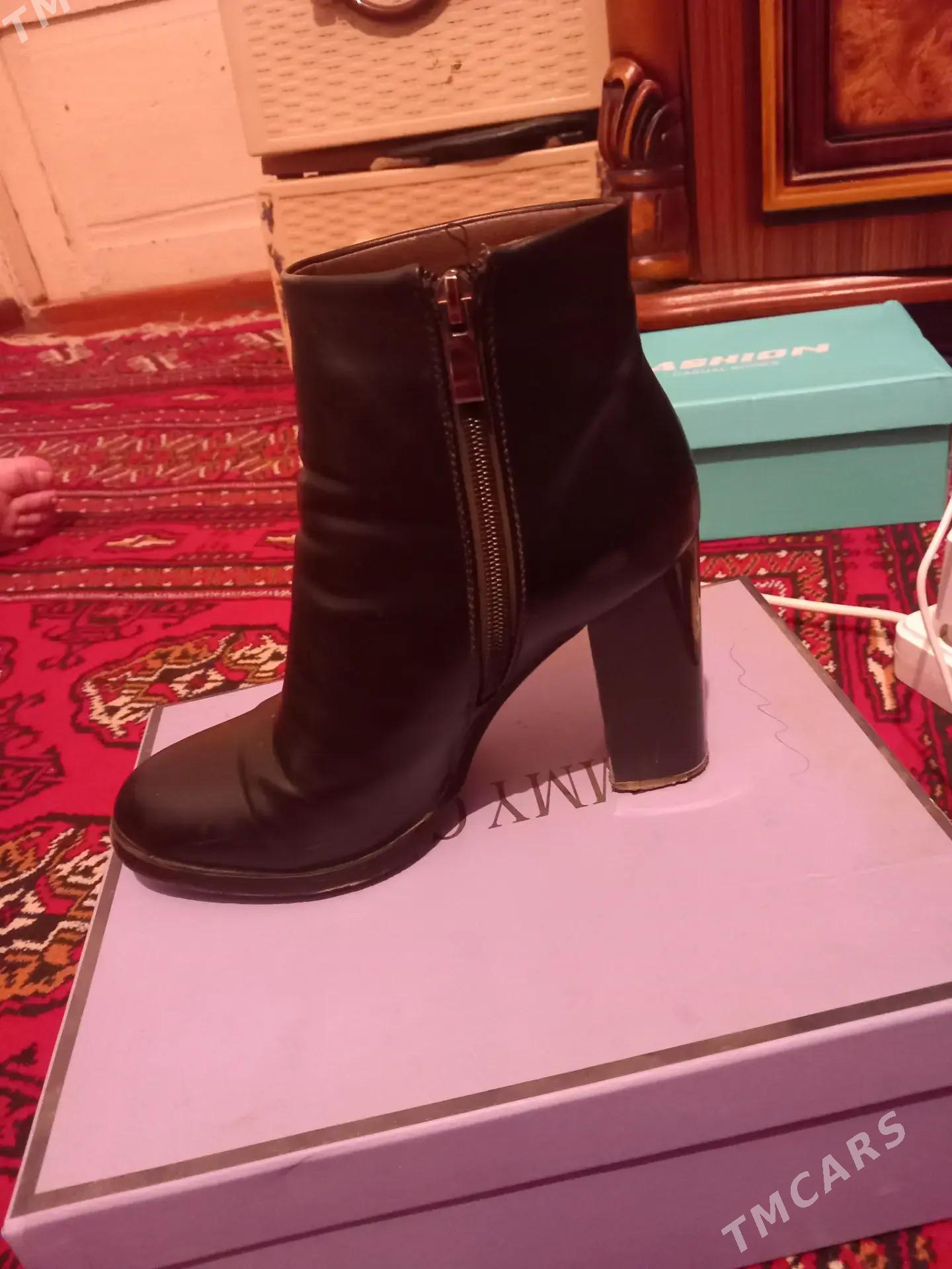 ädik - Daşoguz - img 4