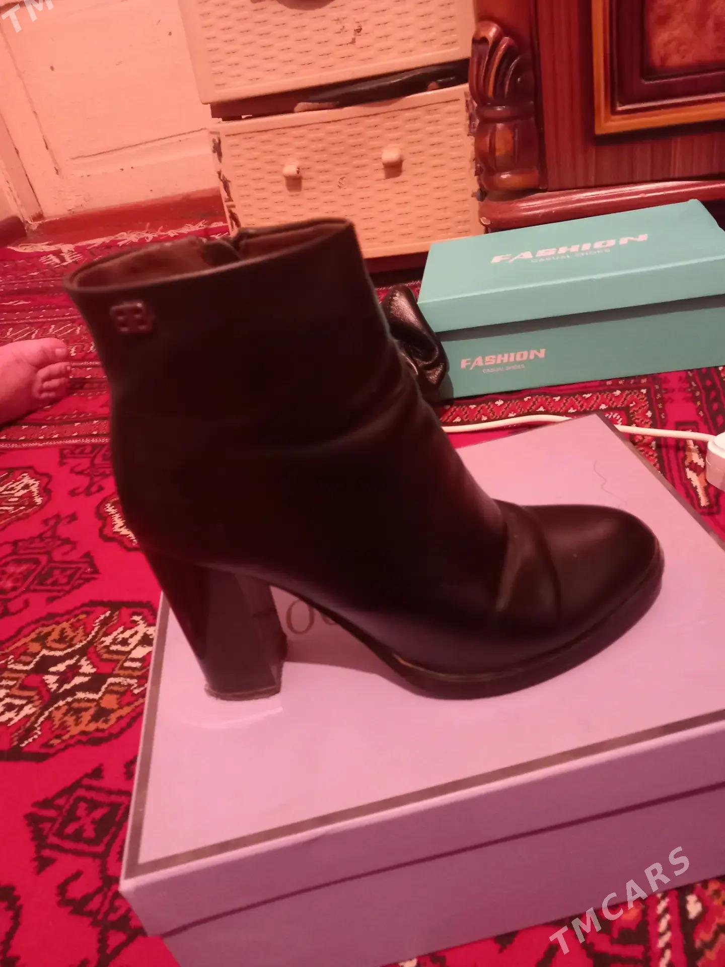 ädik - Daşoguz - img 3