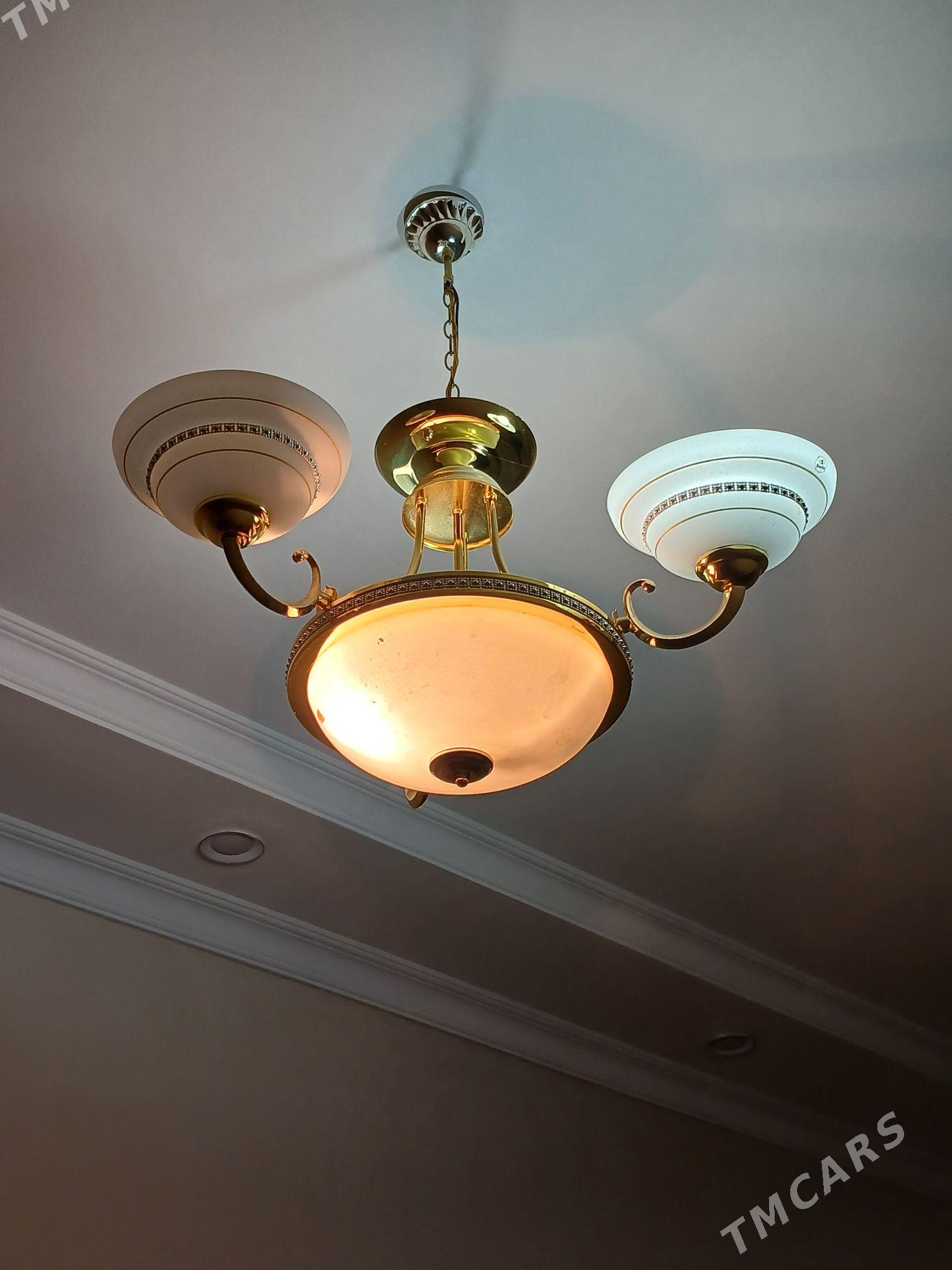 Lýustra - Daşoguz - img 2