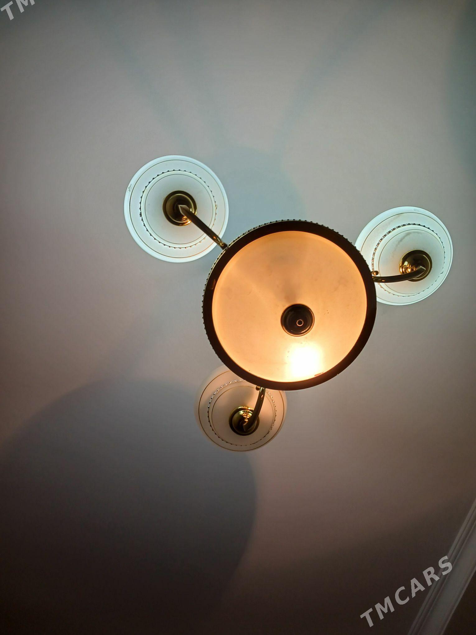 Lýustra - Daşoguz - img 3