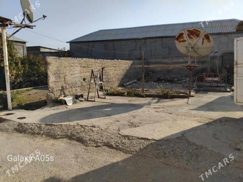 Melek jay yer - Ak bugdaý etraby - img 2