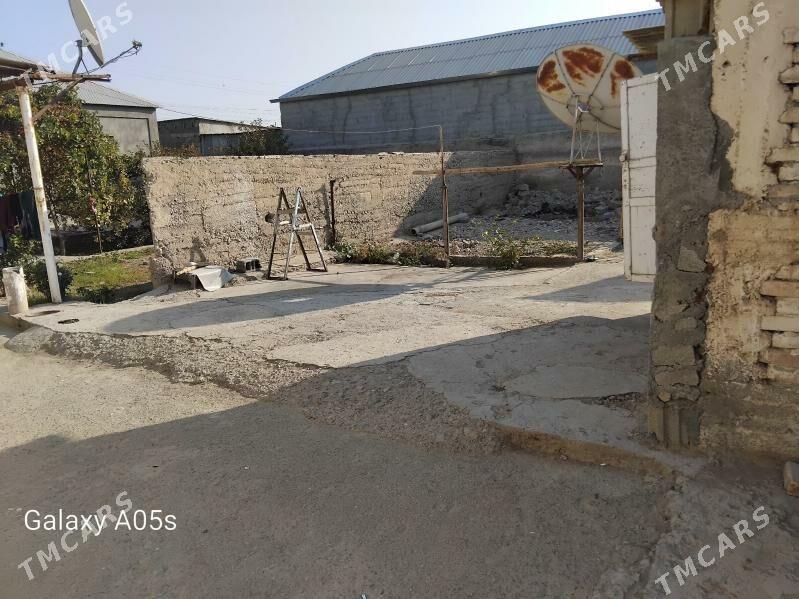 Melek jay yer - Ak bugdaý etraby - img 3