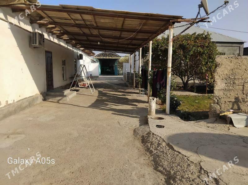 Melek jay yer - Ak bugdaý etraby - img 4