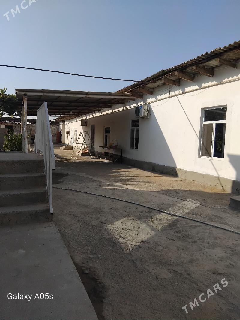 Melek jay yer - Ak bugdaý etraby - img 5