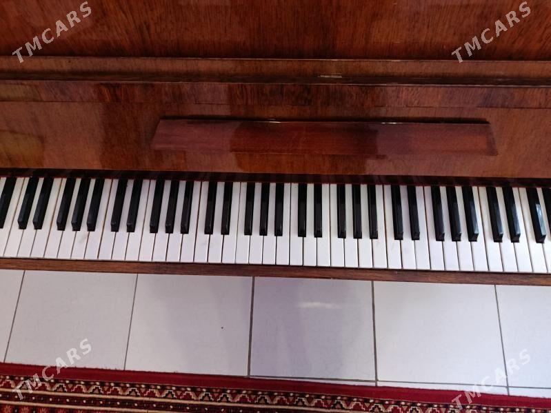 Pianino Пианино. - Türkmenabat - img 2