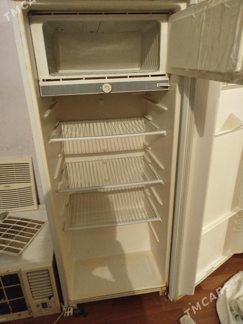 holadinlik - Büzmeýin - img 3