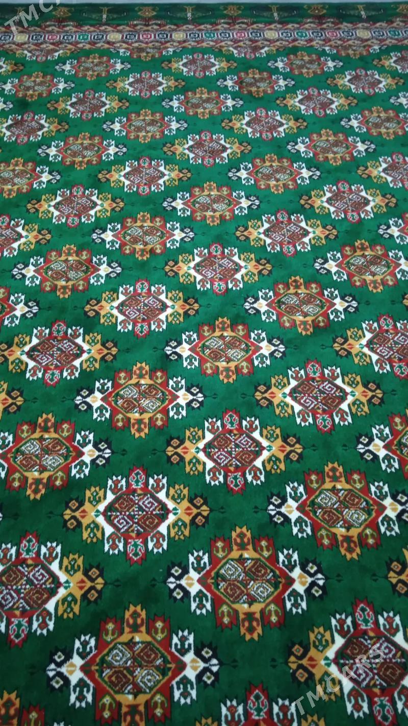 Haly - Daşoguz - img 2