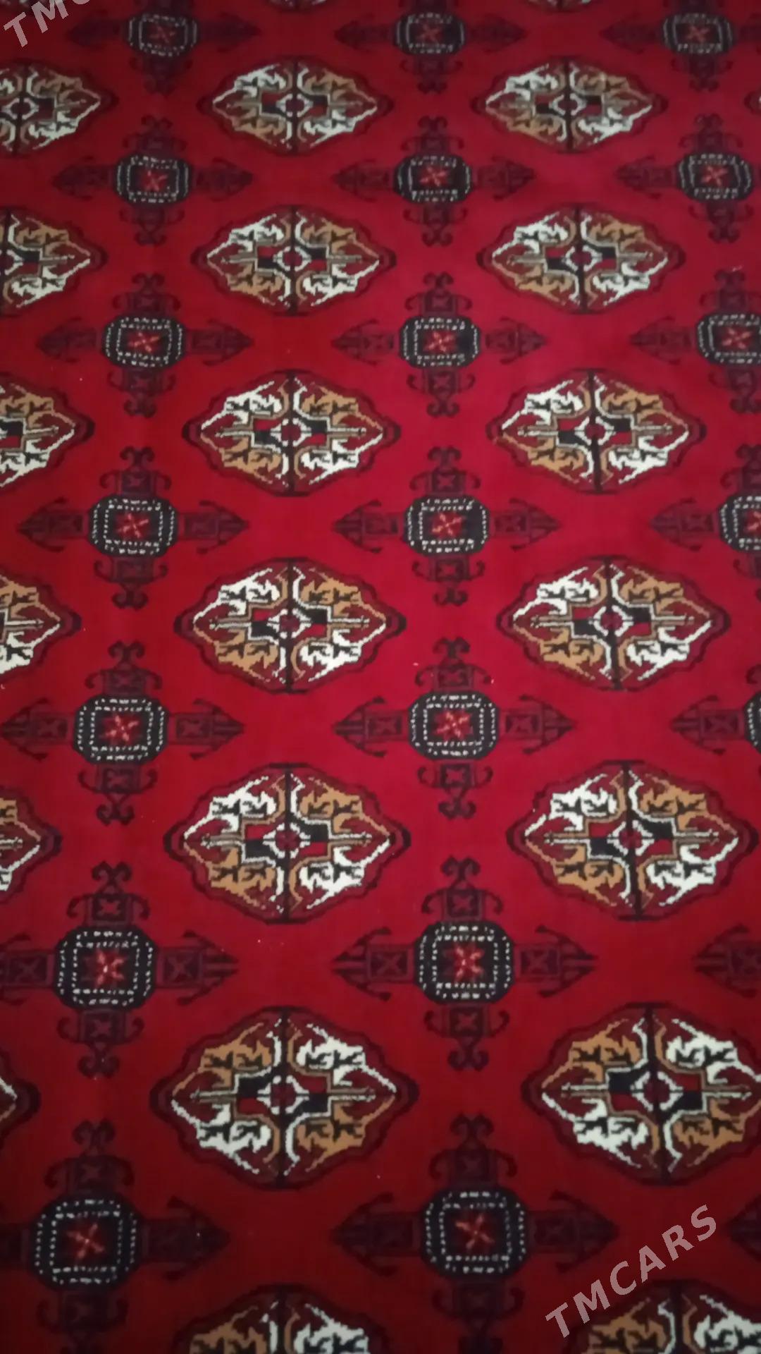 Haly - Daşoguz - img 3