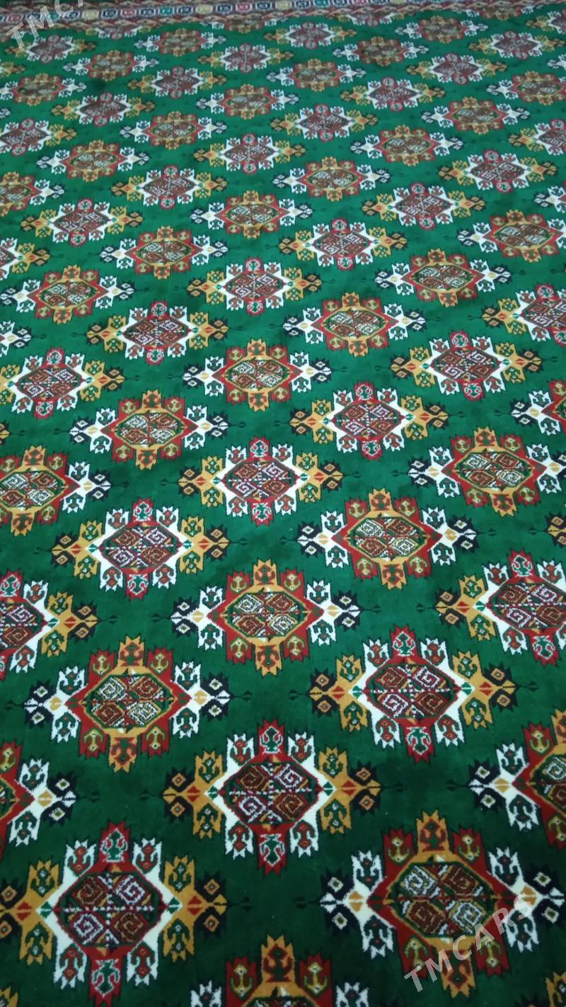 Haly - Daşoguz - img 4