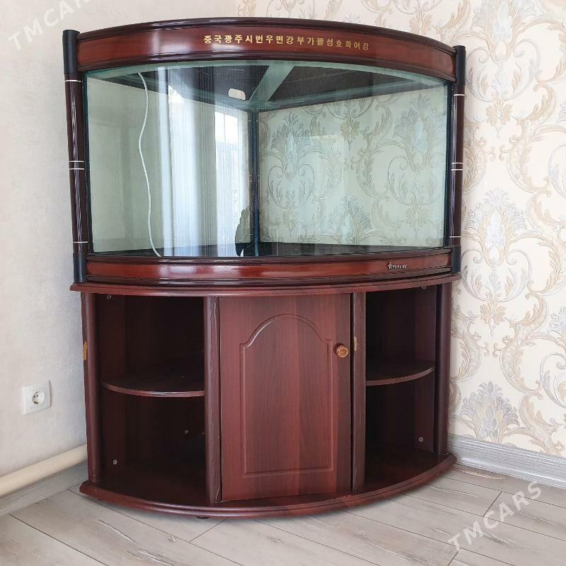 Akwarium - Türkmenabat - img 2