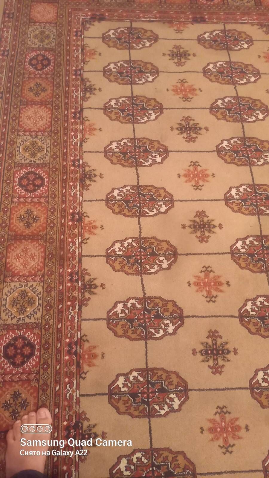 haly - Howdan "W" - img 5