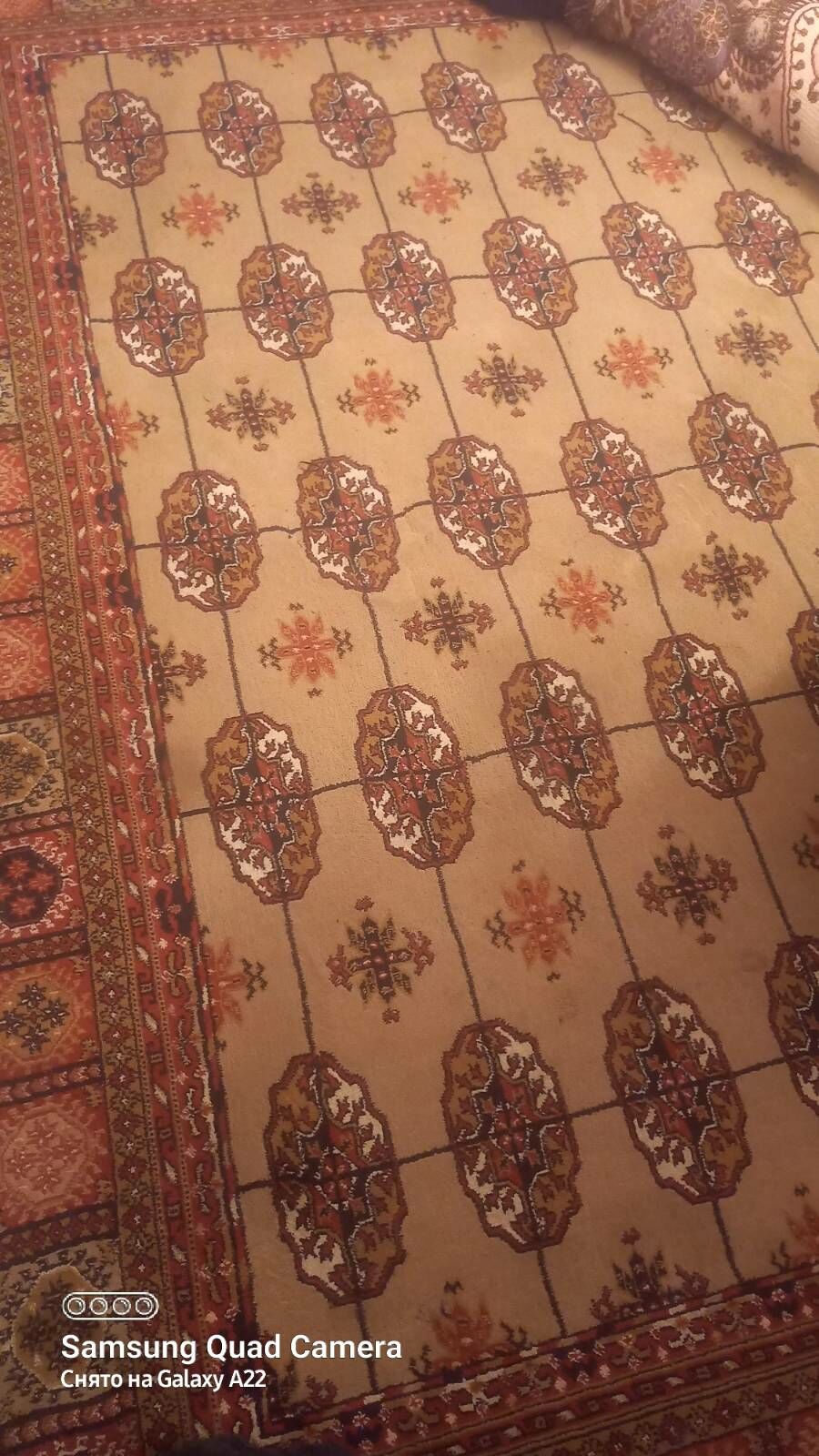 haly - Howdan "W" - img 3