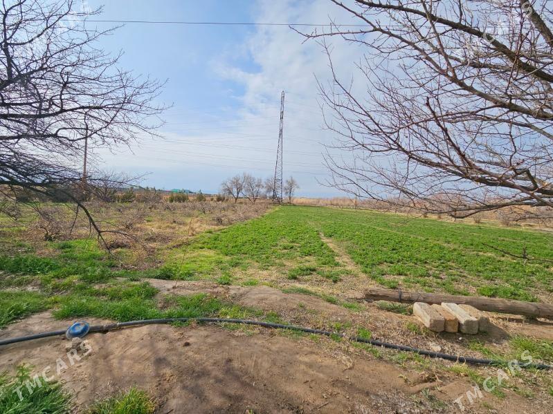 Satlyk yer - Ак-Бугдайский этрап - img 6