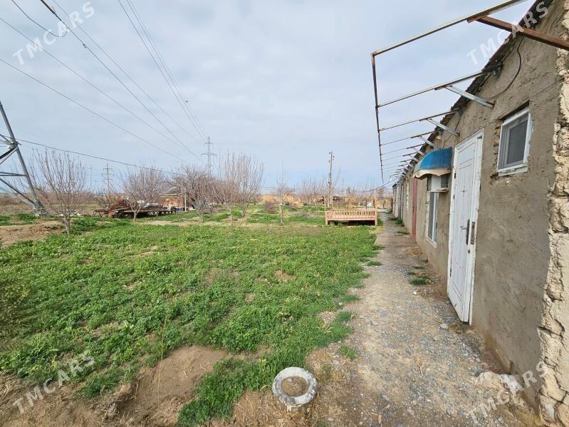 Satlyk yer - Ак-Бугдайский этрап - img 5