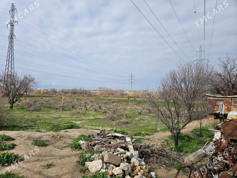 Satlyk yer - Ак-Бугдайский этрап - img 4