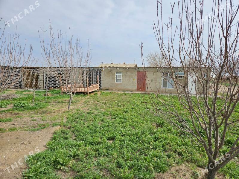 Satlyk yer - Ак-Бугдайский этрап - img 2