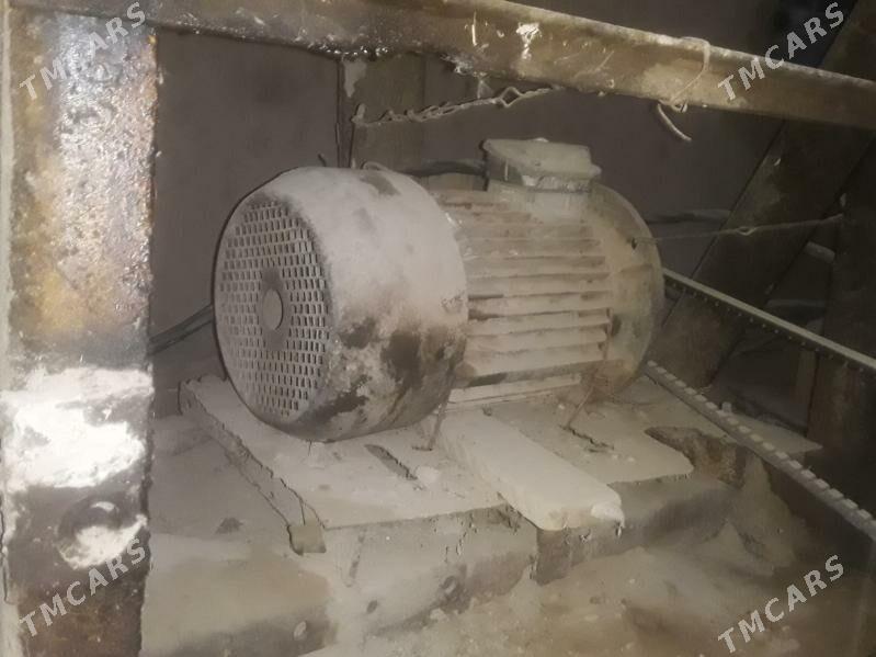 Mator - Гороглы (Тагта) - img 2