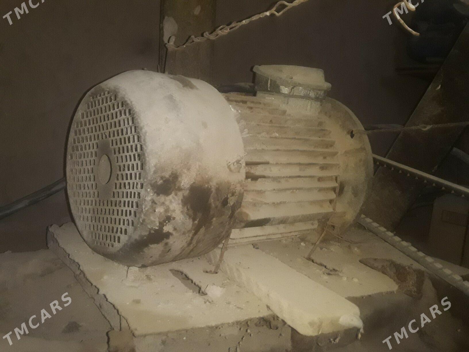 Mator - Гороглы (Тагта) - img 3