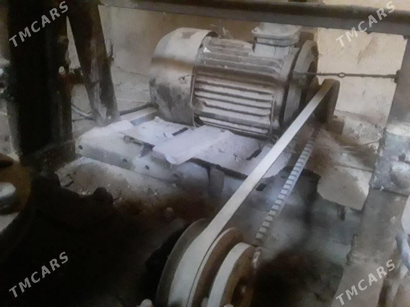 Mator - Гороглы (Тагта) - img 1