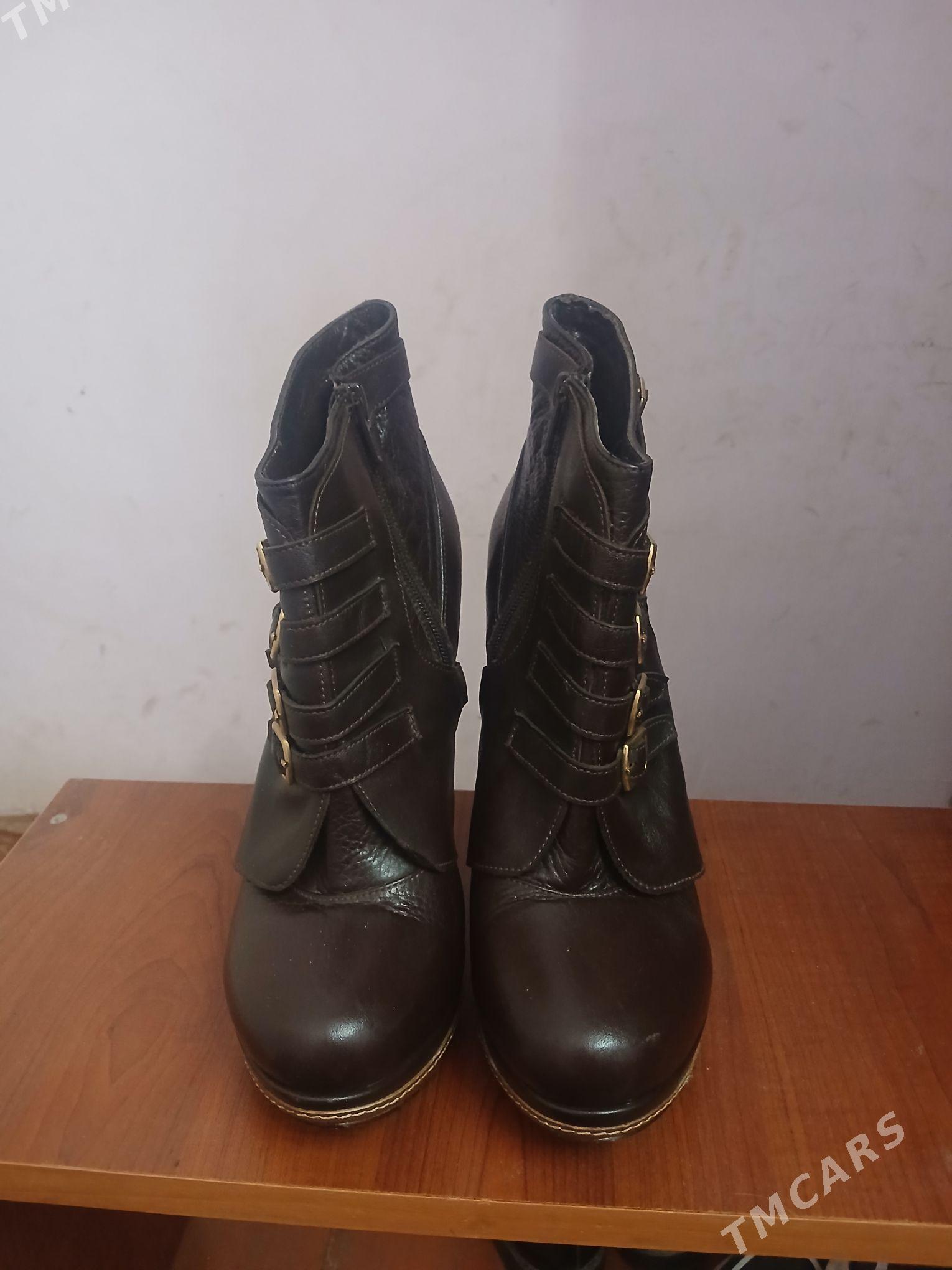 adik - Daşoguz - img 4