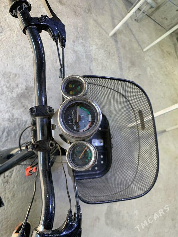 Tokly tıgır - Bagyr - img 2