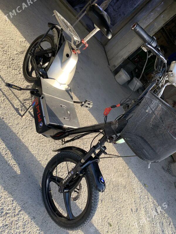 Tokly tıgır - Bagyr - img 4