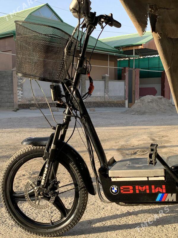 Tokly tıgır - Bagyr - img 3