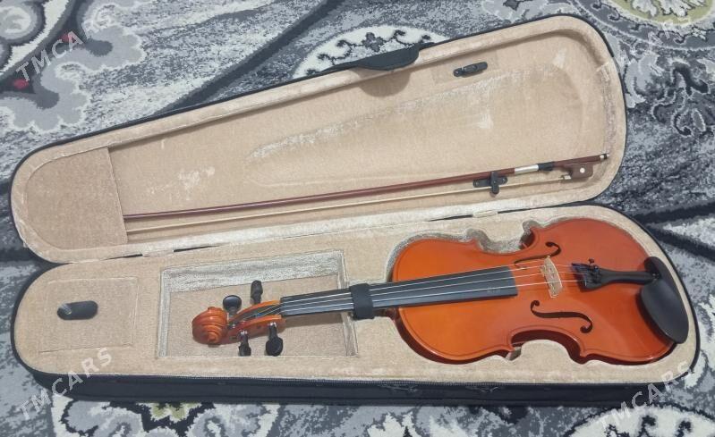 skripka - Туркменбаши - img 2