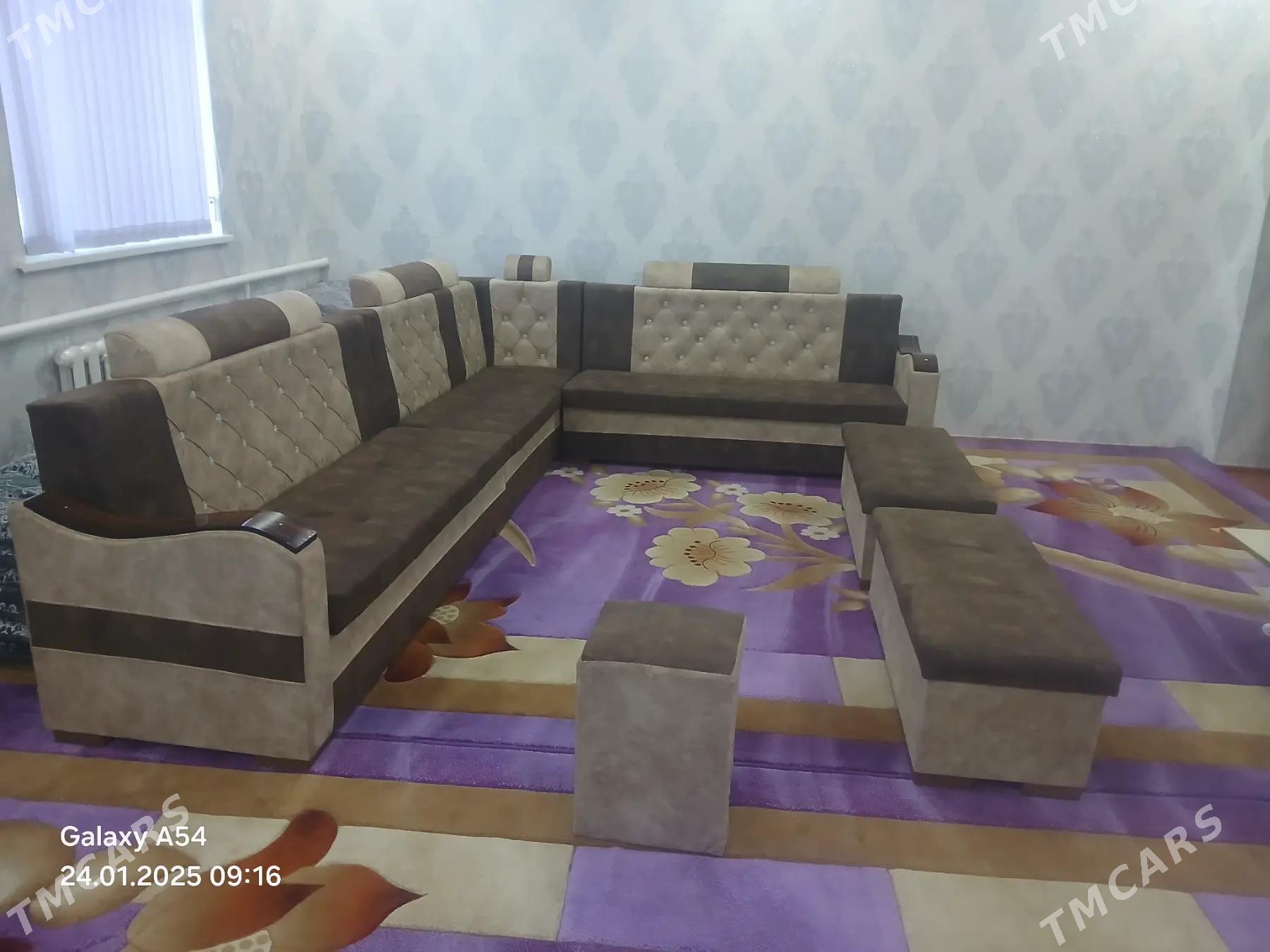 угалок честер - Daşoguz - img 4