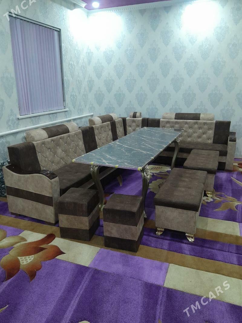 угалок честер - Daşoguz - img 3