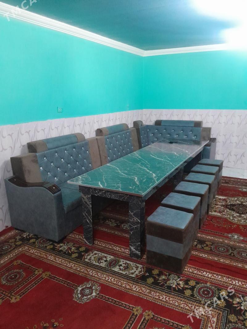 угалок честер - Daşoguz - img 2