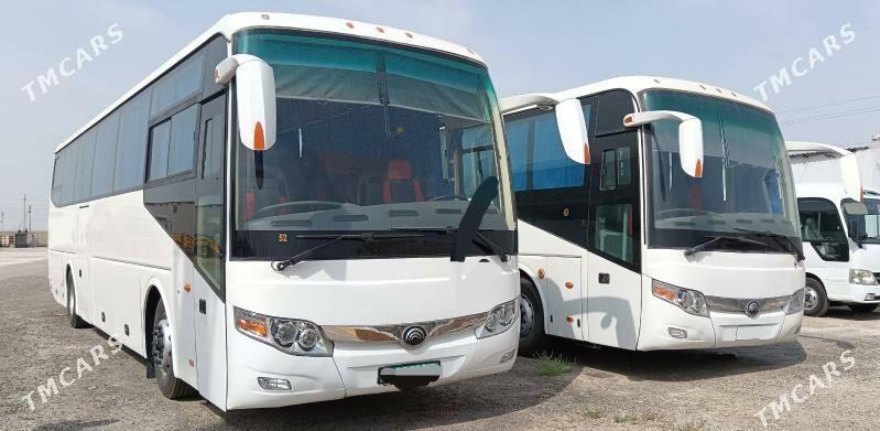 Toyota Coaster 2022 - 660 000 TMT - Balkanabat - img 3