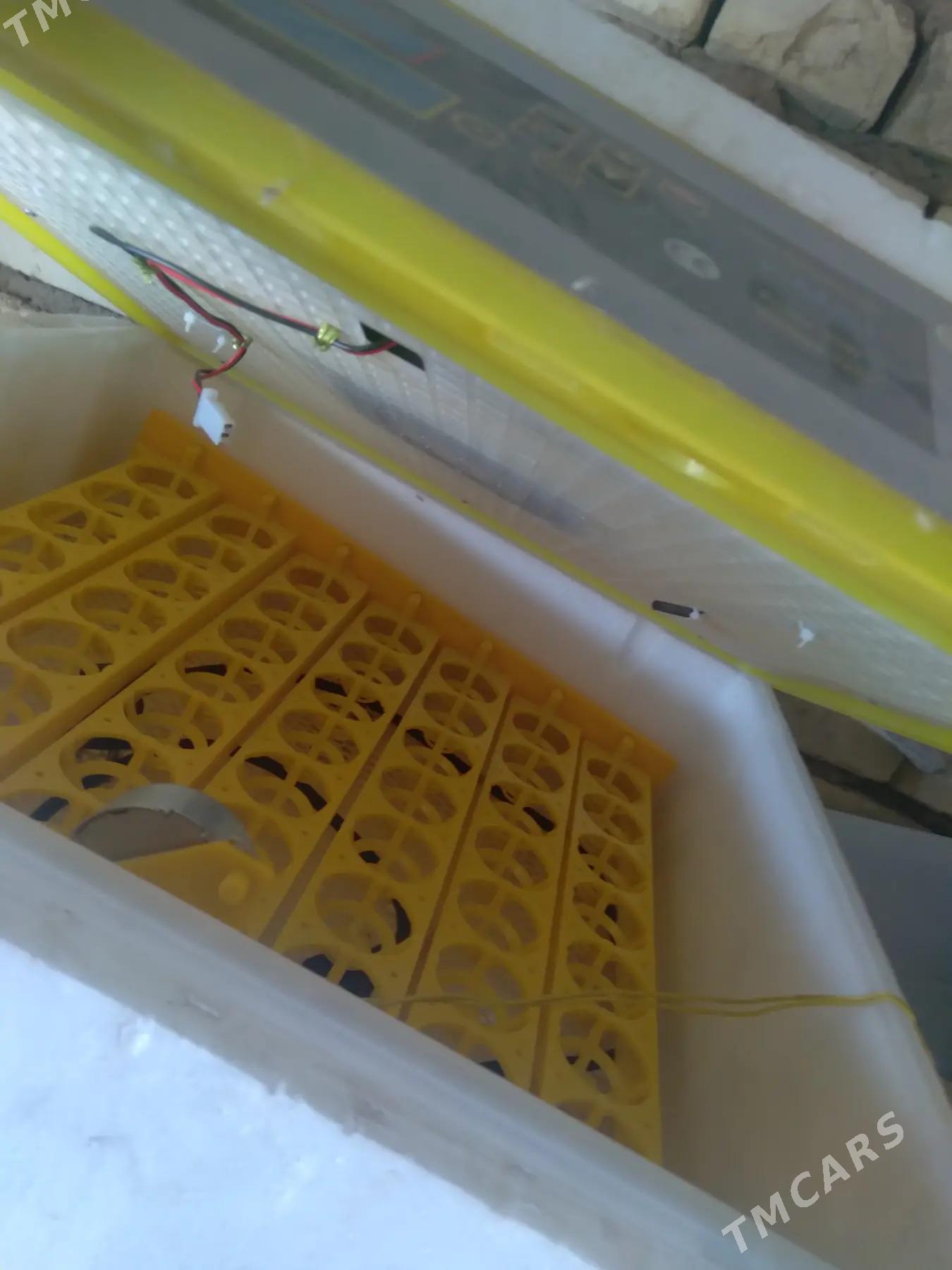 Инкубатор турецкий - Mary - img 4