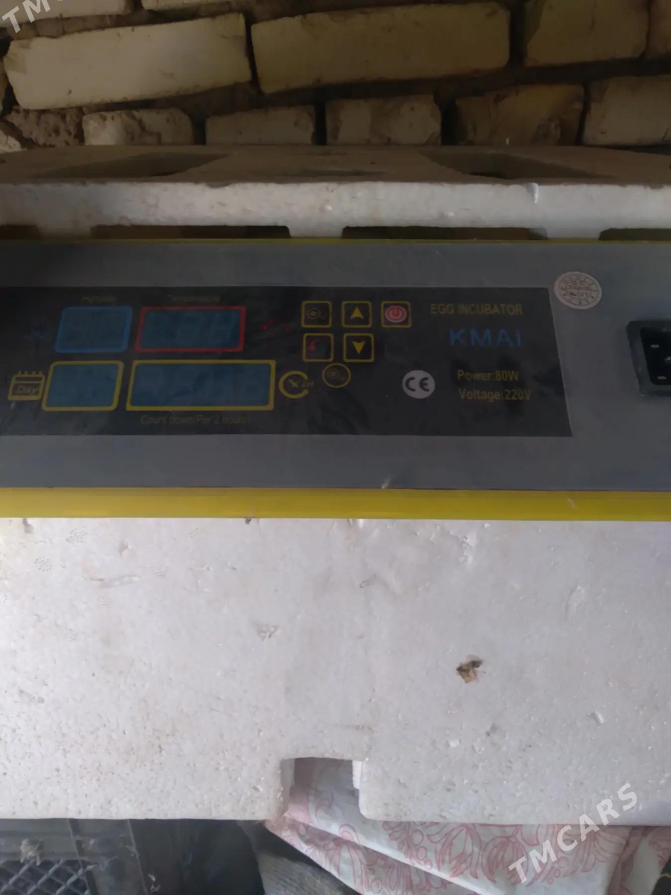 Инкубатор турецкий - Mary - img 2