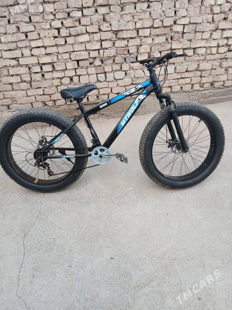 велсапэт - Tejen - img 4