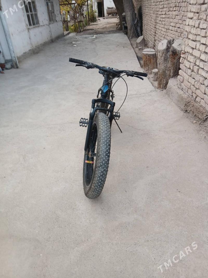 велсапэт - Tejen - img 3