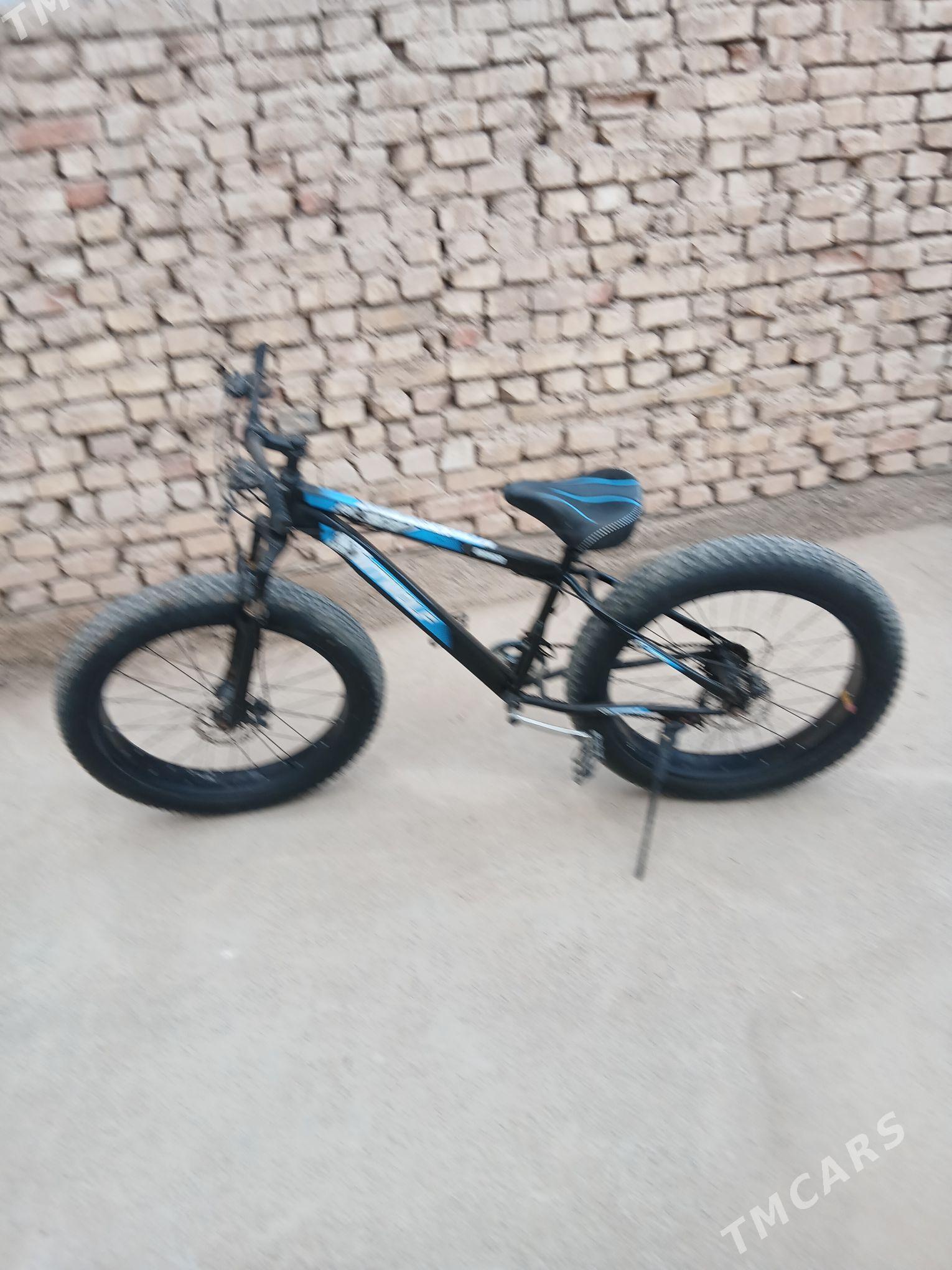 велсапэт - Tejen - img 2